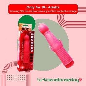 Bud Head Boy Fun Vibrator FV-001