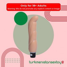 Real Feel Silicone Fun Vibrator FV-015