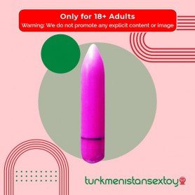 Female Purse Vibrator RSV-004
